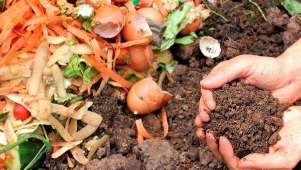 Le compost : une ressource pour votre jardin !