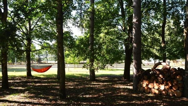 Campatilia, un camping éco-responsable !